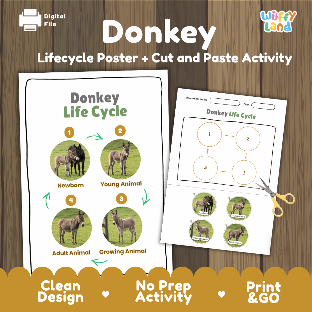 Donkey Life Cycle Poster and Cut and Paste Activity Worksheets