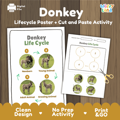 Donkey Life Cycle Poster and Cut and Paste Activity Worksheets