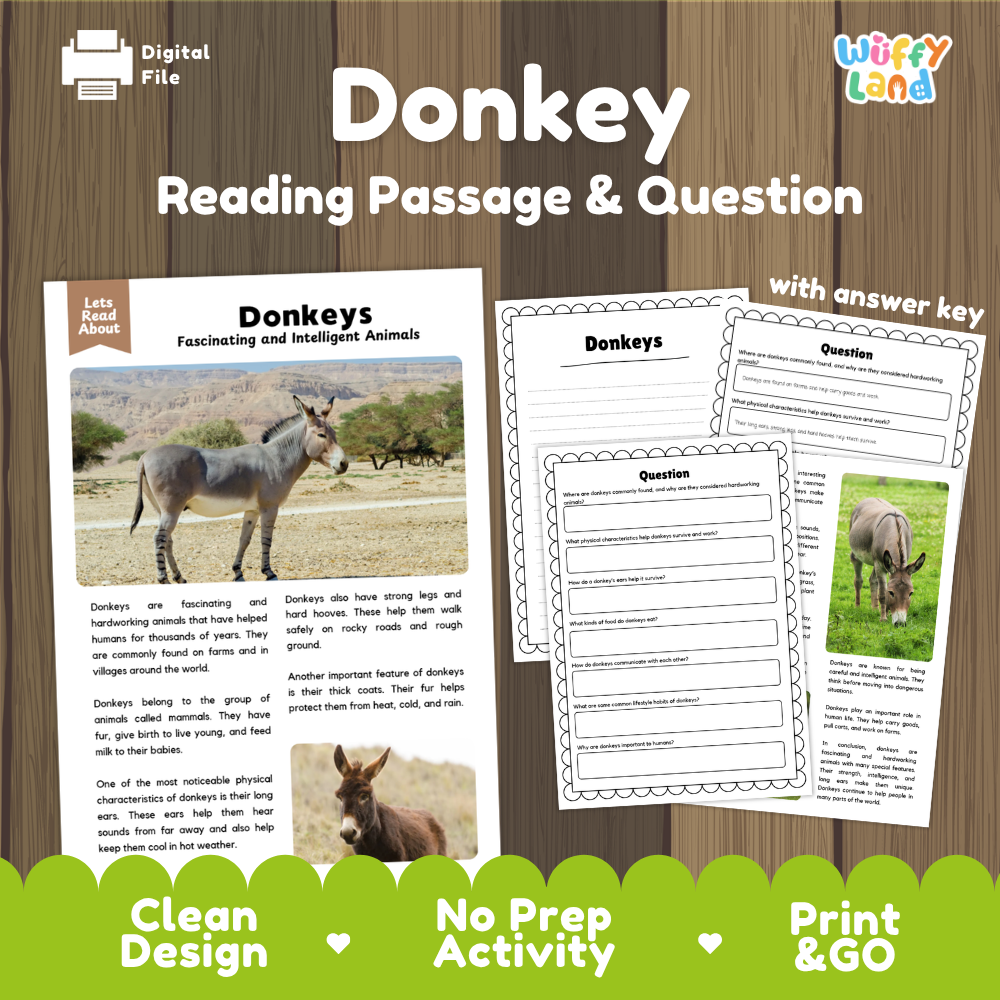 Digital reading activity sheet set for donkeys, featuring a reading passage, comprehension questions, and an answer key on a wood-textured background. The set includes a main worksheet page and two additional pages, with branding for 'Wiffy Land' and 'Digital File' in the corners.