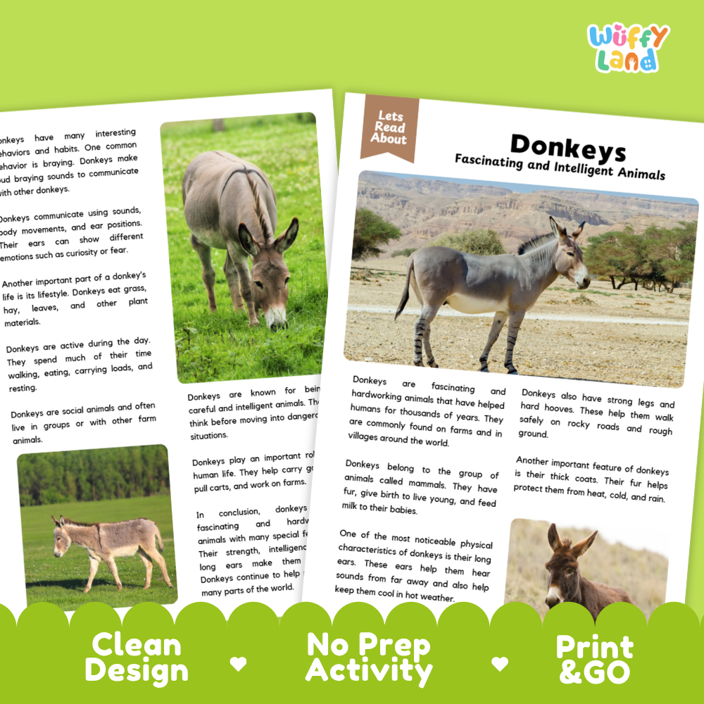 An educational activity booklet cover titled 'Donkeys Fascinating and Intelligent Animals' by Willy the Land, featuring two pages with animal photographs, text, and a green banner at the bottom that reads 'Clean Design', 'No Prep Activity', and 'Print & Go'.