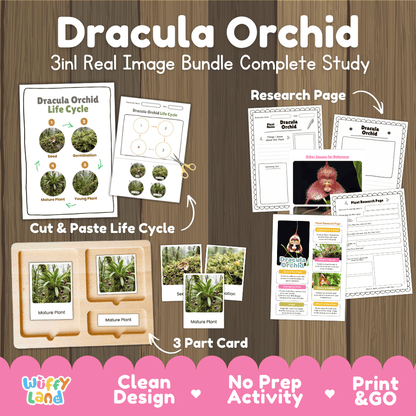 Dracula orchid plant 3in1 real image bundle complete study printable featuring life cycle cut and paste worksheets, Montessori 3-part cards, and research pages