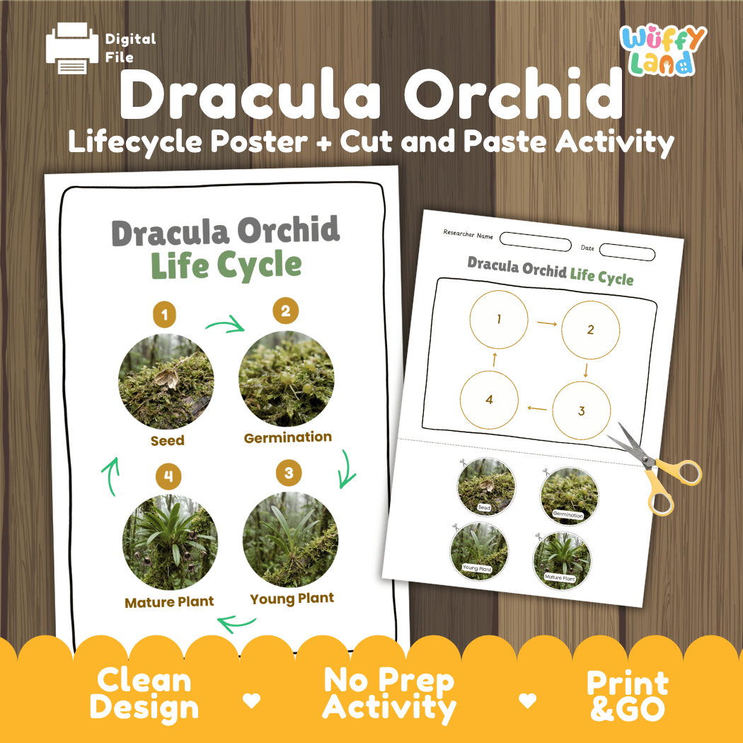 Dracula Orchid Life Cycle Poster and Cut and Paste Activity Worksheet