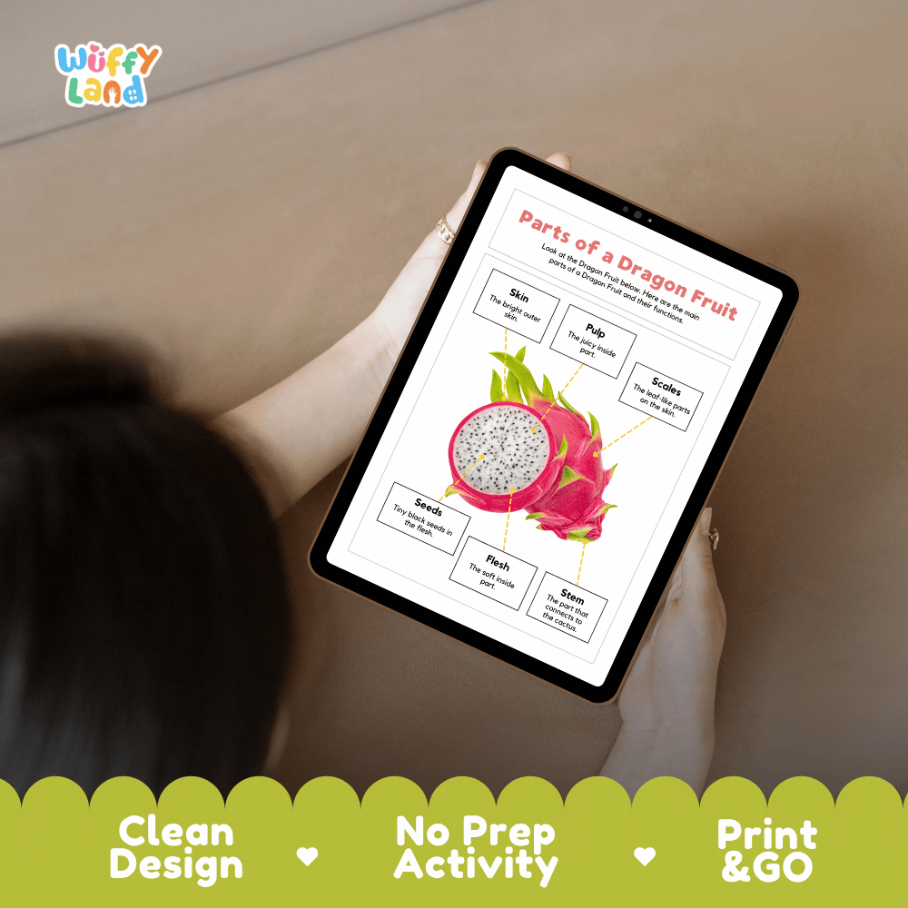 Educational cut and paste dragon fruit anatomy worksheet with printable word cutout tiles for skin, scales, stem, flesh, pulp, and seeds