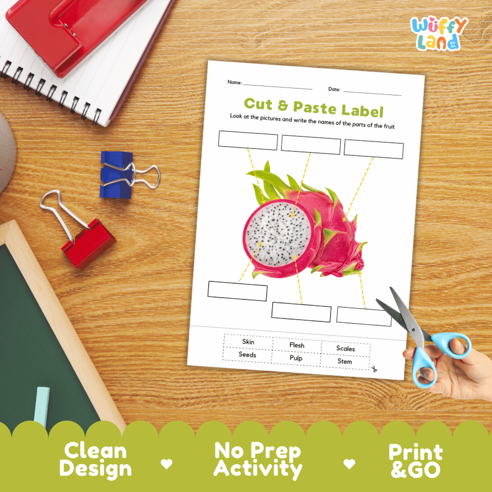 Printable plant biology worksheet showing a realistic sliced pitaya with blank labeling boxes and a vocabulary word bank for writing practice