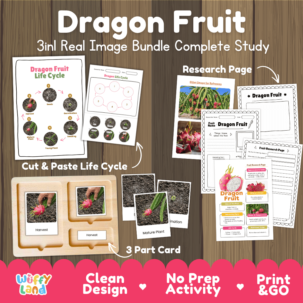 Dragon fruit life cycle 3in1 real image bundle complete study overview featuring cut and paste worksheets, Montessori 3-part cards, and research pages from Wuffy Land 🐉🌱