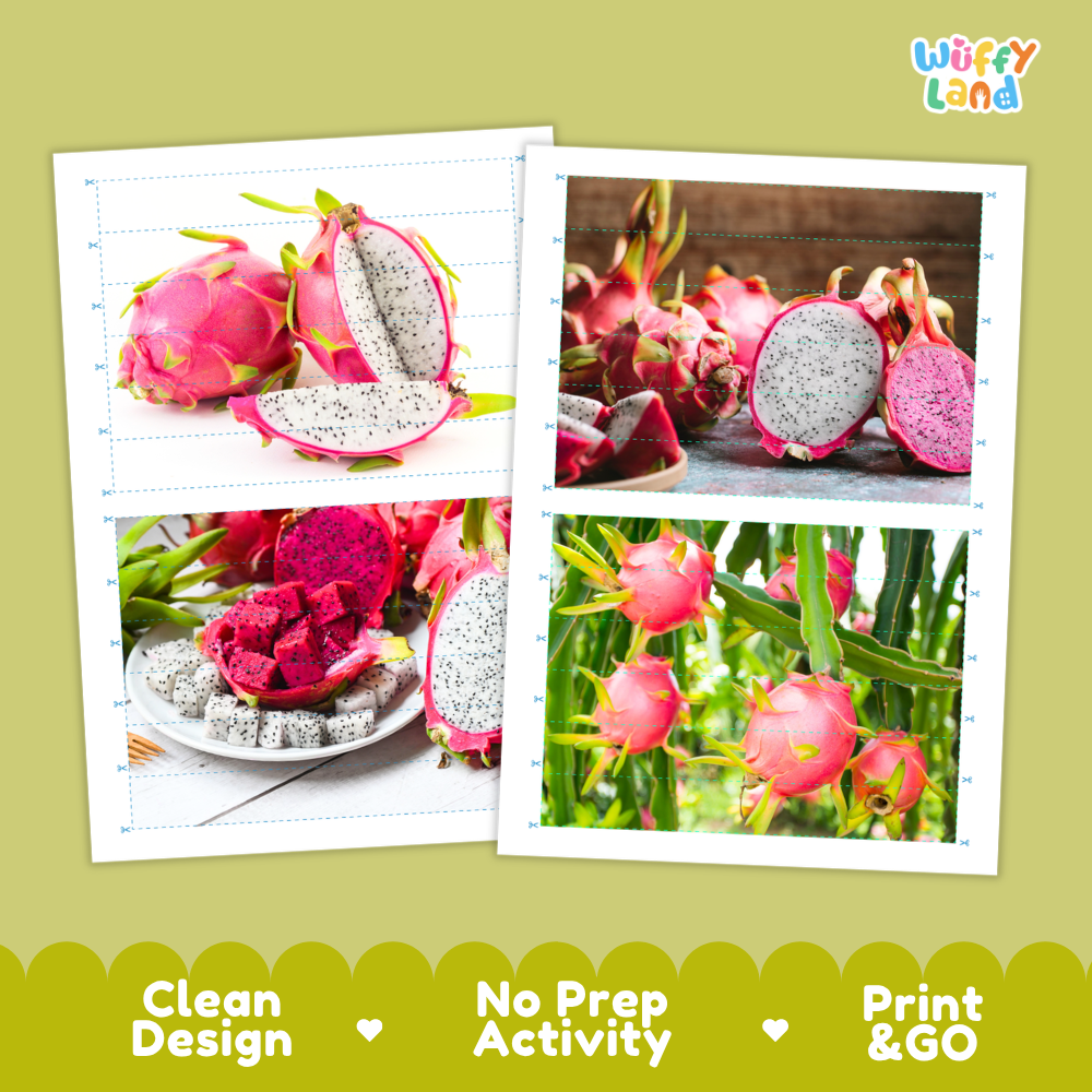 Printable activity sheets featuring photographic dragon fruit puzzle boards and cutting guides