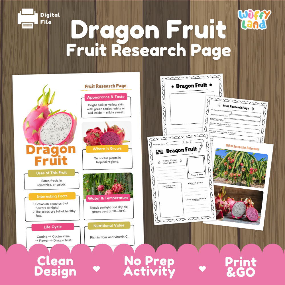 Dragon Fruit Fruit Research Page Worksheets and Fact Sheet