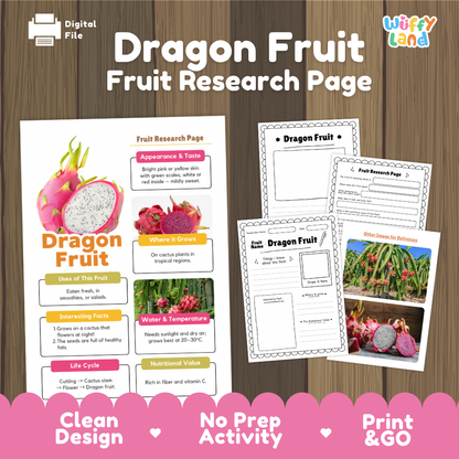 Dragon Fruit Fruit Research Page Worksheets and Fact Sheet