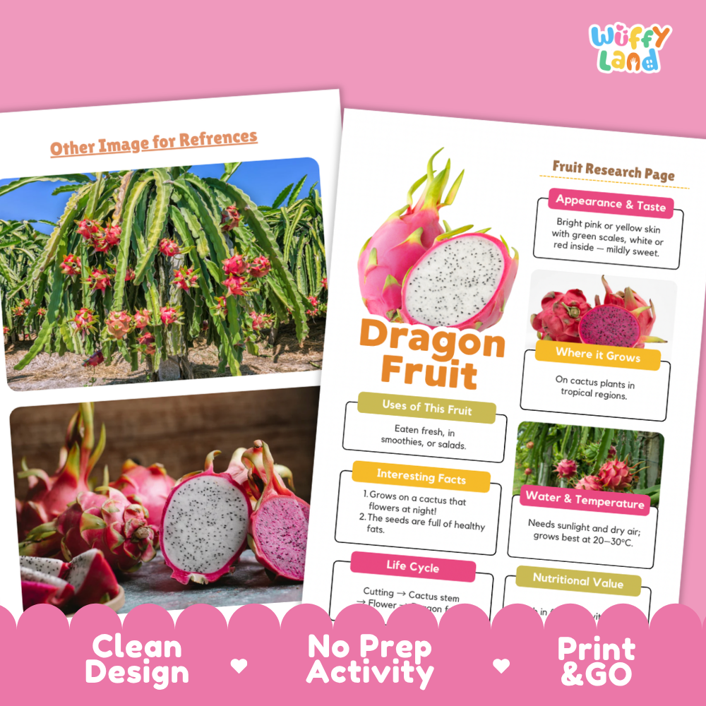 A printed educational poster about dragon fruit displayed on a pink background, with a second poster partially visible behind it. The poster includes photos of dragon cactus plants, sliced dragon fruit, and labeled sections such as 'Appearance & Taste,' 'Where It Grows,' 'Uses of the Fruit,' 'Interesting Facts,' 'Water & Temperature,' and 'Life Cycle.