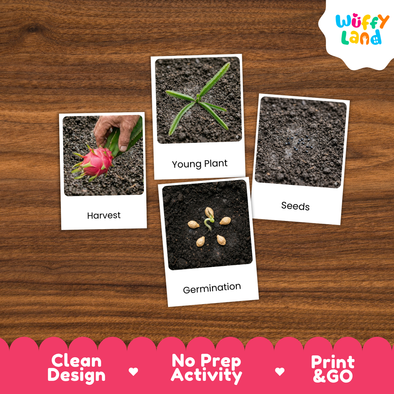 Four educational activity cards about planting and growing are arranged on a wooden surface. The cards show labeled photos of soil, seeds, a young plant, and harvesting a plant.