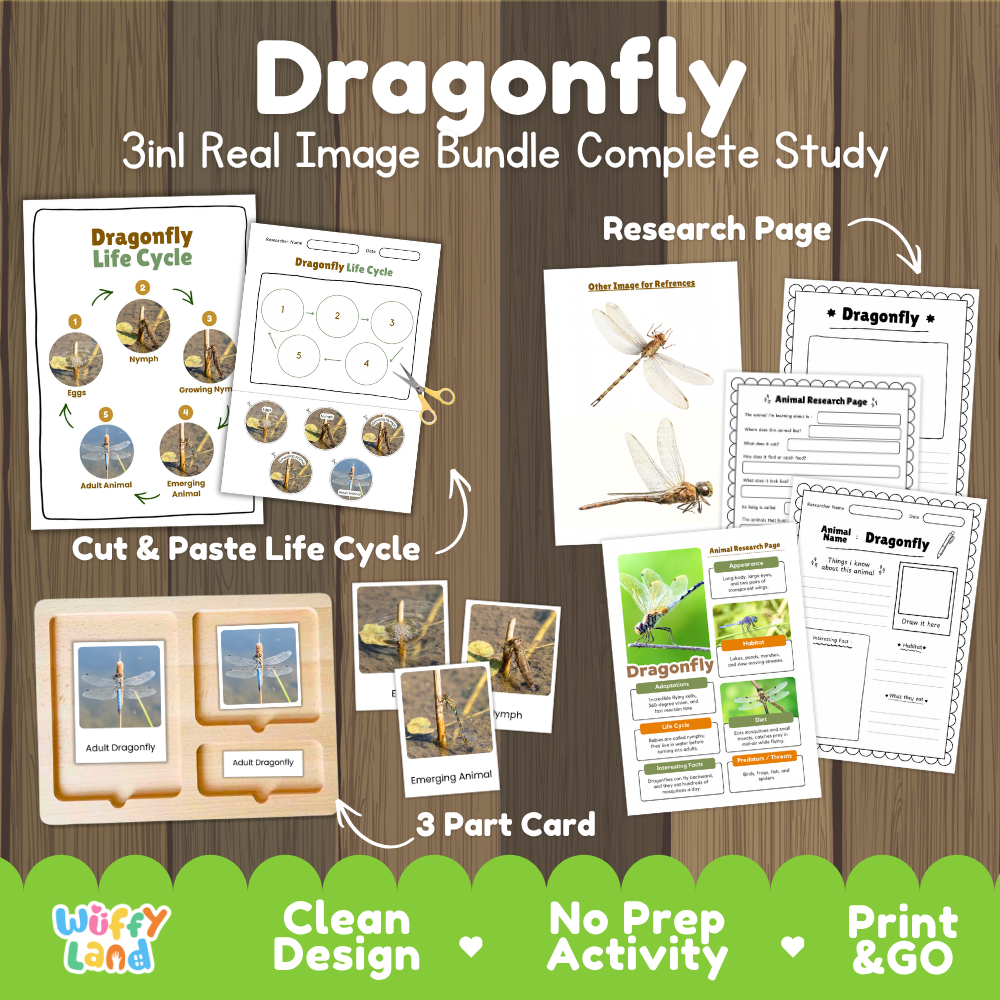 Dragonfly 3-in-1 real image bundle complete study cover showing cut and paste life cycle, 3 part cards, and research pages