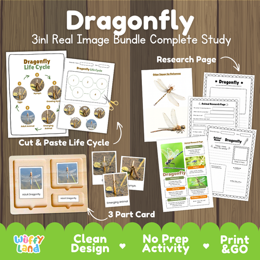 Dragonfly 3-in-1 real image bundle complete study cover showing cut and paste life cycle, 3 part cards, and research pages