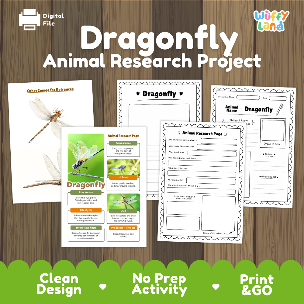 Digital download activity sheet set titled 'Dragonfly Animal Research Project' by Wiffly Land, shown on a wood background with sample pages, a dragonfly reference image, and feature badges reading 'Clean Design', 'No Prep Activity', and 'Print & GO'.