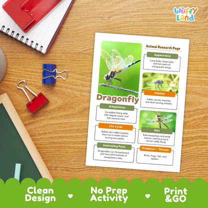 An educational activity sheet titled 'Dragonfly Animal Research Page' displayed on a wooden desk with school supplies. The sheet features colorful text boxes, a large dragonfly illustration, and a green header.