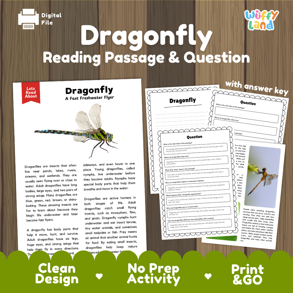 Digital reading activity sheet set titled 'Dragonfly Reading Passage & Question' on a wood background. The set includes a printed-style passage page with an illustration of a dragonfly, worksheet pages with blank question sections, and a 'with answer key' page.