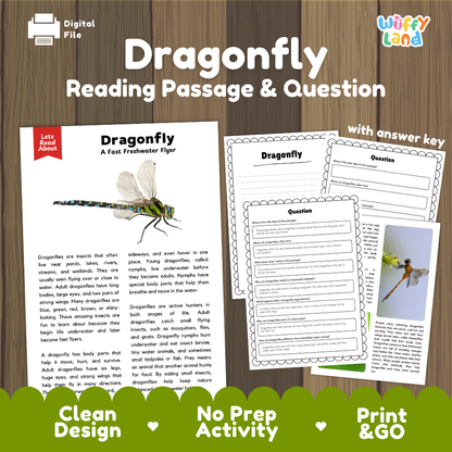 Digital reading activity sheet set titled 'Dragonfly Reading Passage & Question' on a wood background. The set includes a printed-style passage page with an illustration of a dragonfly, worksheet pages with blank question sections, and a 'with answer key' page.