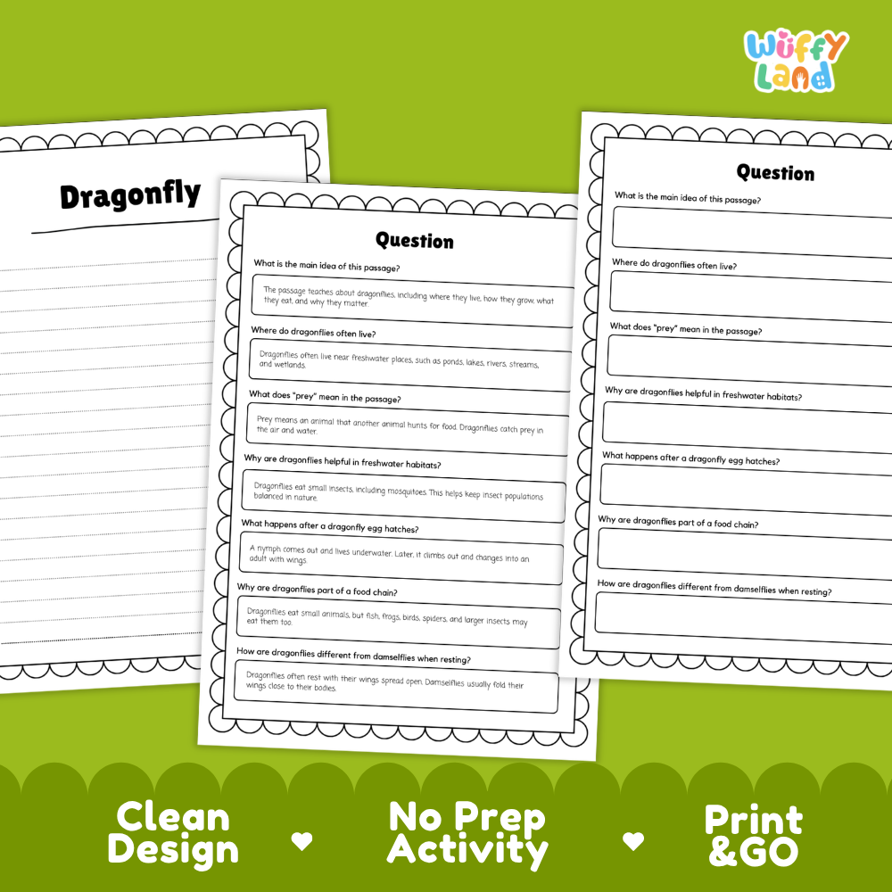 Three printable dragonfly worksheet pages with writing and reading activity questions, shown on a bright green background with the text 'Clean Design', 'No Prep Activity', and 'Print & GO'. The top right corner includes the 'Wiffly Land' logo.
