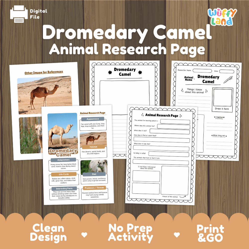 Dromedary Camel Animal Research Project Worksheets and Fact Sheet Activity