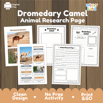 Dromedary Camel Animal Research Project Worksheets and Fact Sheet Activity