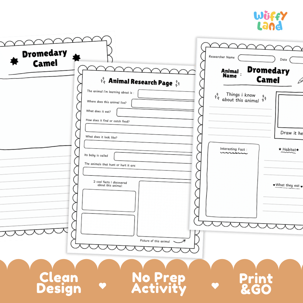 Dromedary Camel Animal Research Project Worksheets and Fact Sheet Activity