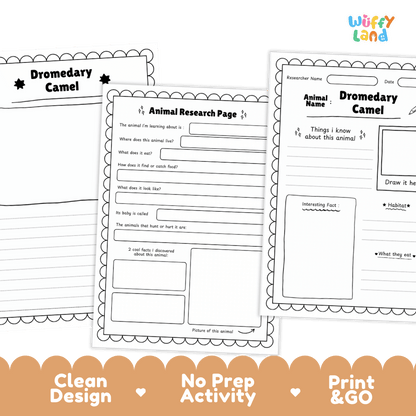Dromedary Camel Animal Research Project Worksheets and Fact Sheet Activity