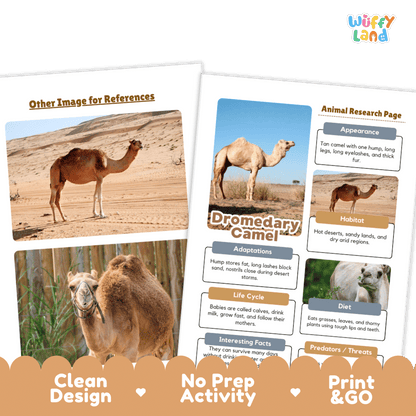 Dromedary Camel Animal Research Project Worksheets and Fact Sheet Activity