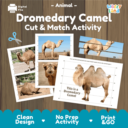 Dromedary Camel Cut and Match Activity Worksheets | Animal Puzzle Printables