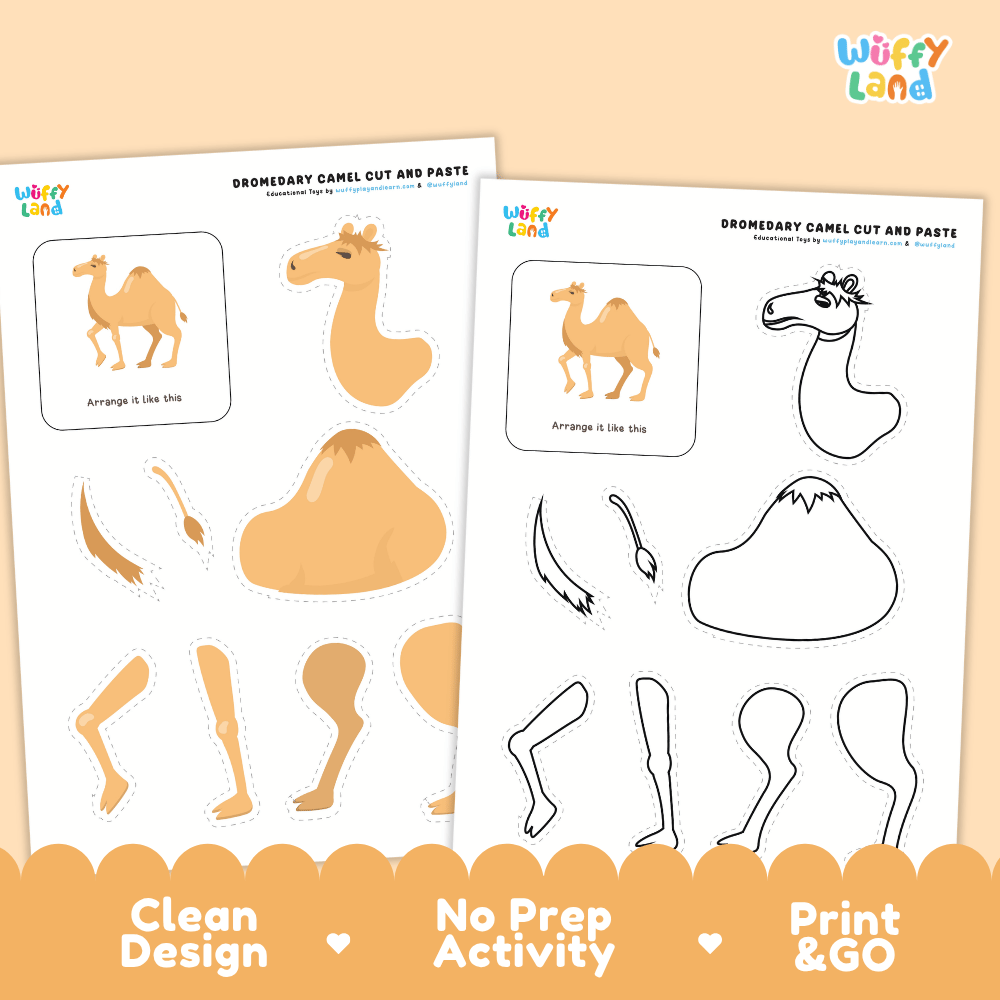 Dromedary Camel Cut and Paste Craft and Coloring Activity Worksheets