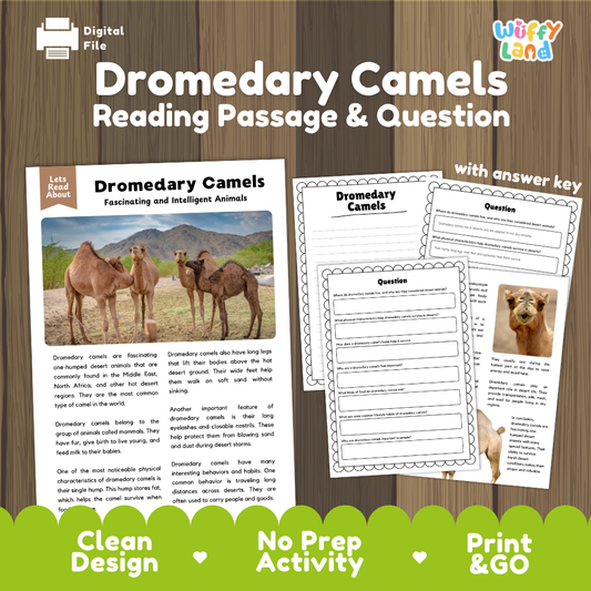 Dromedary Camels Reading Passage and Comprehension Questions Worksheets with Answer Key