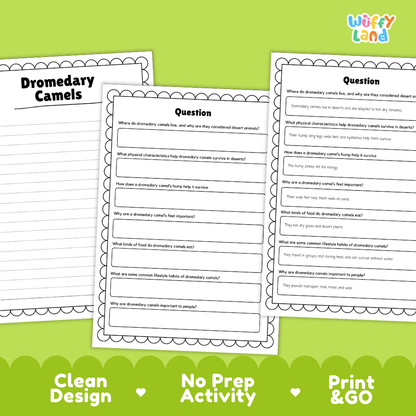 Three printable educational activity sheets about dromedary camels arranged on a bright green background. The sheets include writing and question sections, with the title 'Dromedary Camels' on the left sheet and a 'Wiffly Land' logo in the top right corner.