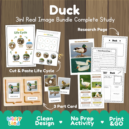 Duck 3-in-1 real image bundle complete study cover showing cut and paste life cycle, 3 part cards, and research pages