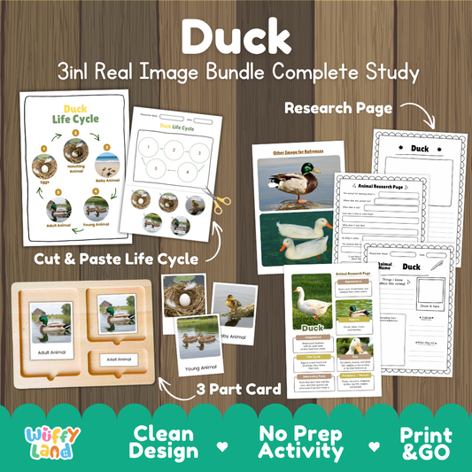 Duck 3-in-1 real image bundle complete study cover showing cut and paste life cycle, 3 part cards, and research pages