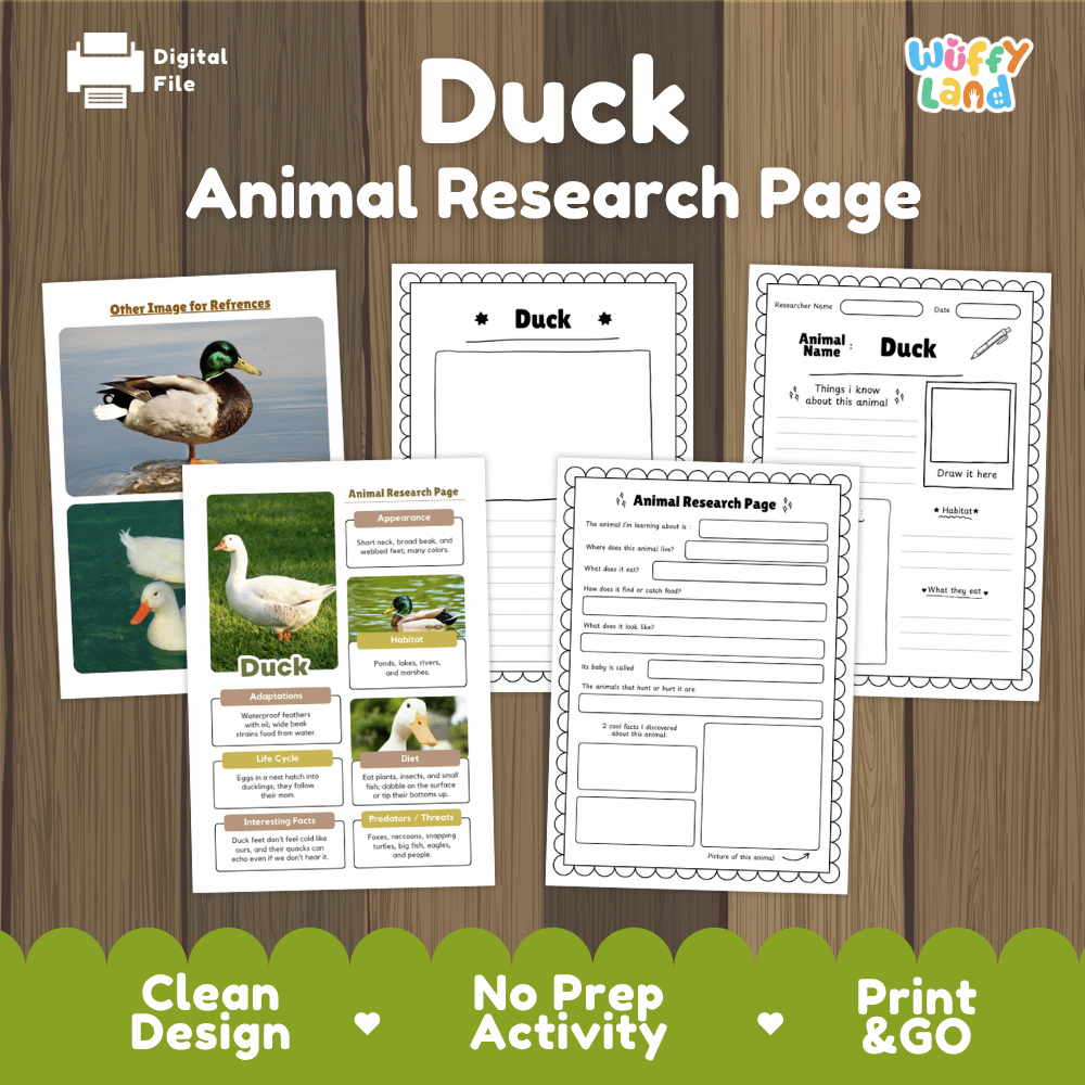 Duck Animal Research Page Graphic Organizers and Worksheets