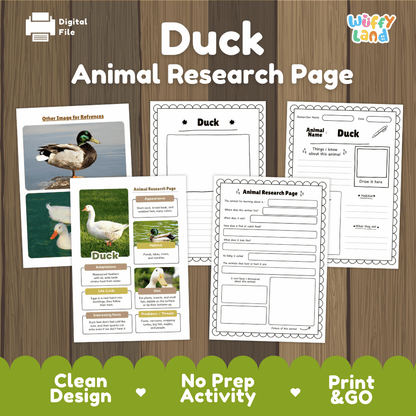 Duck Animal Research Page Graphic Organizers and Worksheets