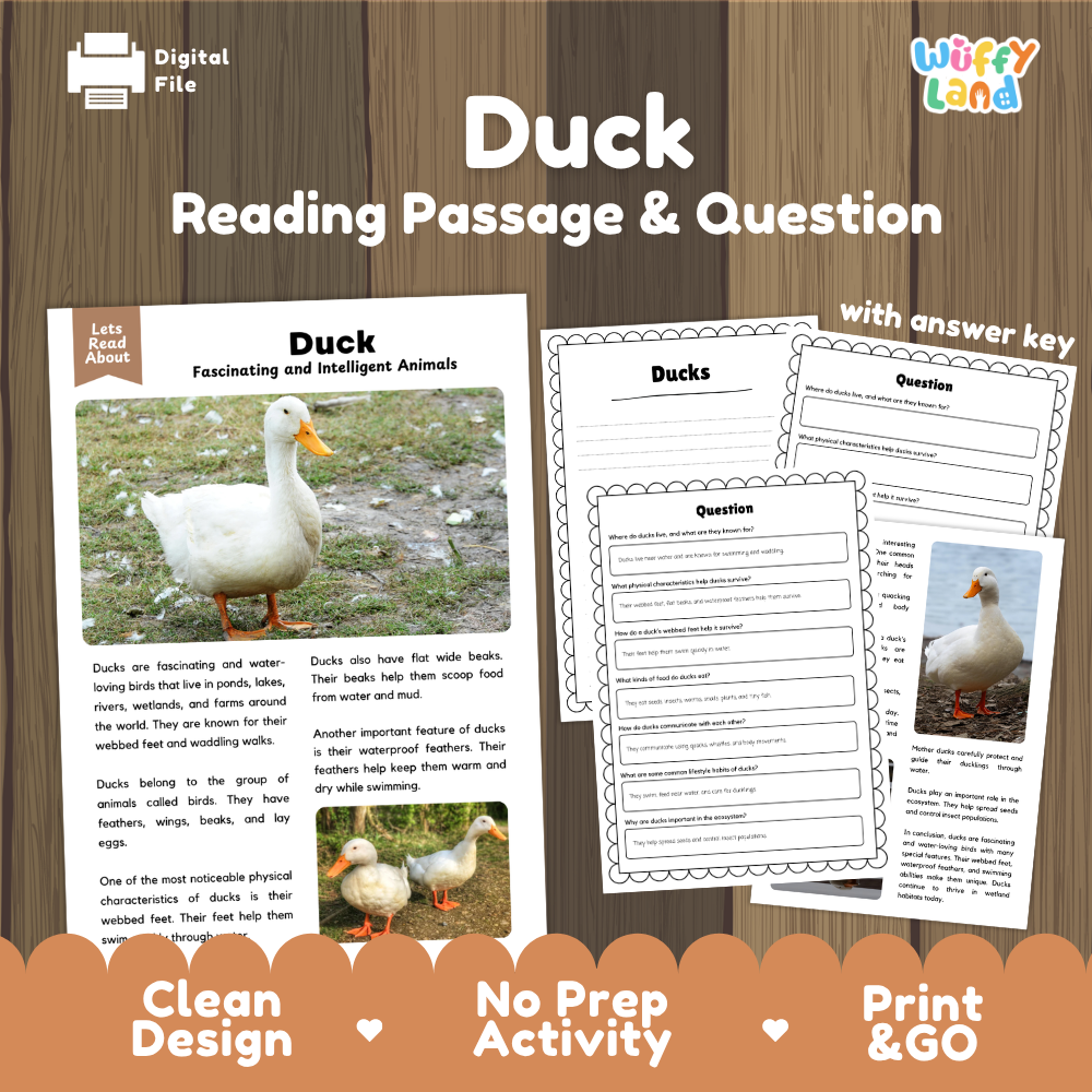 Duck Reading Passage and Comprehension Questions Worksheets