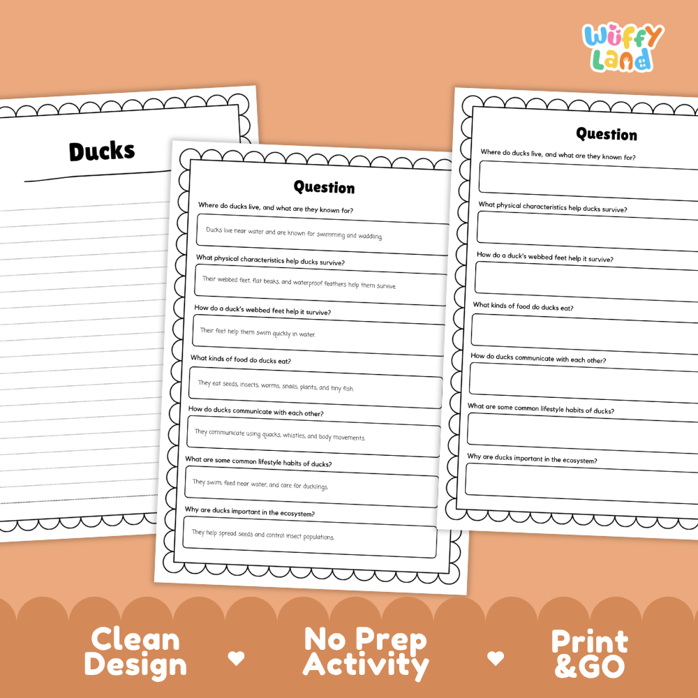 Duck Reading Passage and Comprehension Questions Worksheets