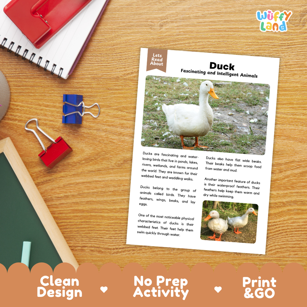 Duck Reading Passage and Comprehension Questions Worksheets