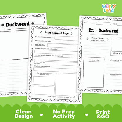Duckweed Plant Research Pages and Worksheets