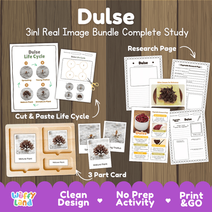 Dulse red seaweed 3in1 real image bundle complete study printable featuring life cycle cut and paste worksheets, Montessori 3-part cards, and research pages