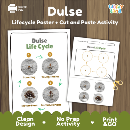 Dulse seaweed life cycle educational printable pack cover showing visual reference poster and cut and paste sequencing worksheet with real photography