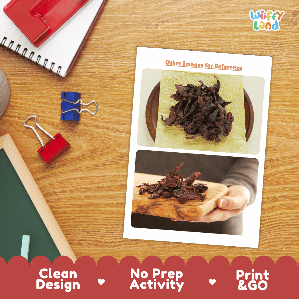 Dulse Vegetable Research Page Worksheets and Fact Sheet