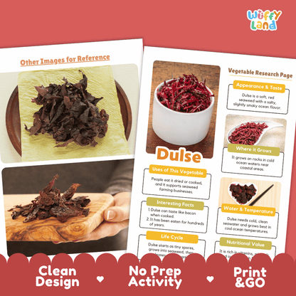 Dulse Vegetable Research Page Worksheets and Fact Sheet