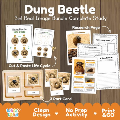 Dung Beetle 3-in-1 real image bundle complete study cover showing cut and paste life cycle, 3 part cards, and research pages