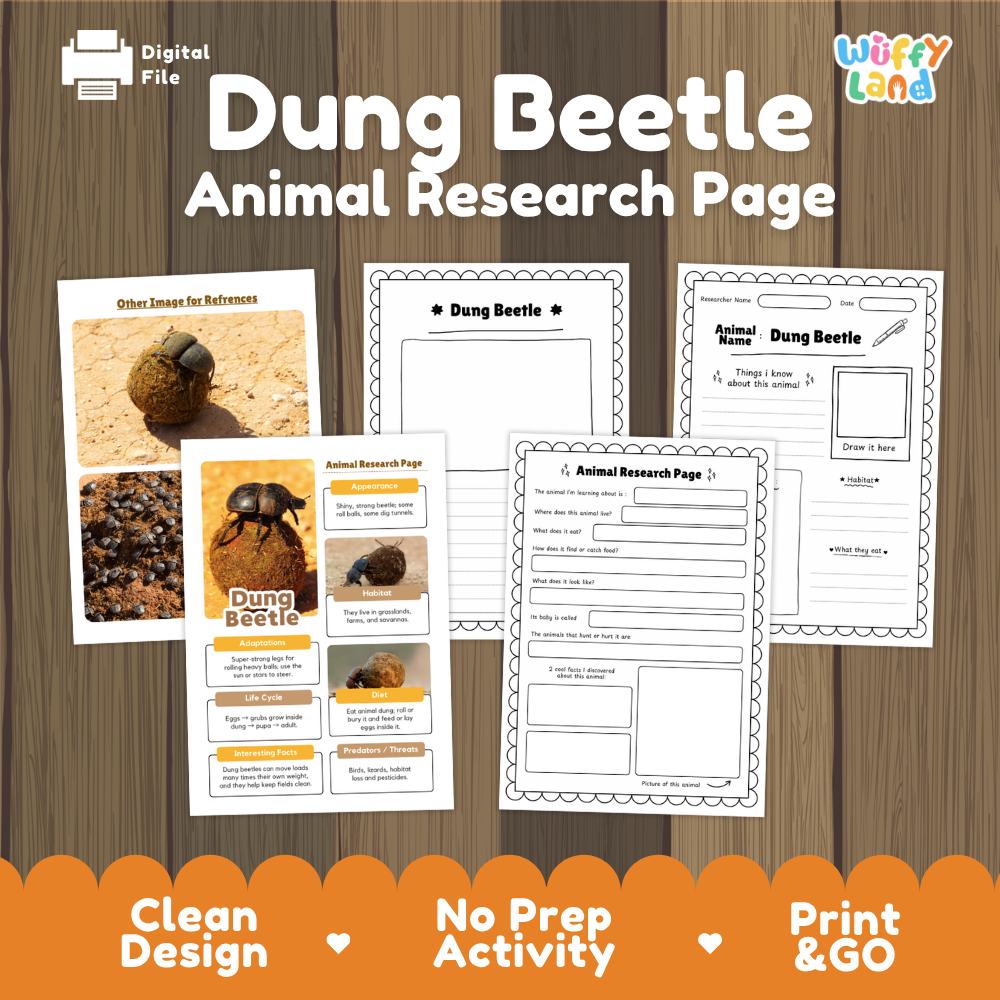 Dung Beetle Animal Research Page Worksheets