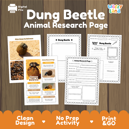 Dung Beetle Animal Research Page Worksheets