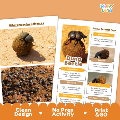Dung Beetle Animal Research Page Worksheets