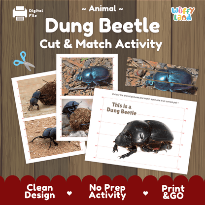 Dung Beetle Cut and Match Activity Printables Worksheets