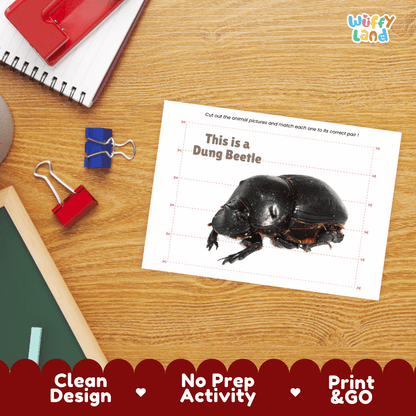 Dung Beetle Cut and Match Activity Printables Worksheets