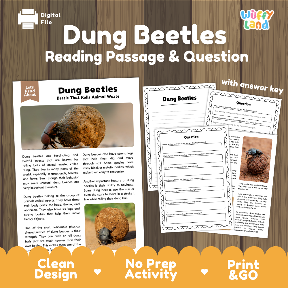 Dung Beetles Reading Passage and Questions Worksheets with Answer Key