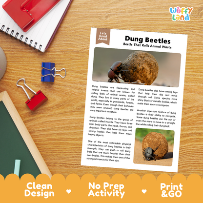 Dung Beetles Reading Passage and Questions Worksheets with Answer Key